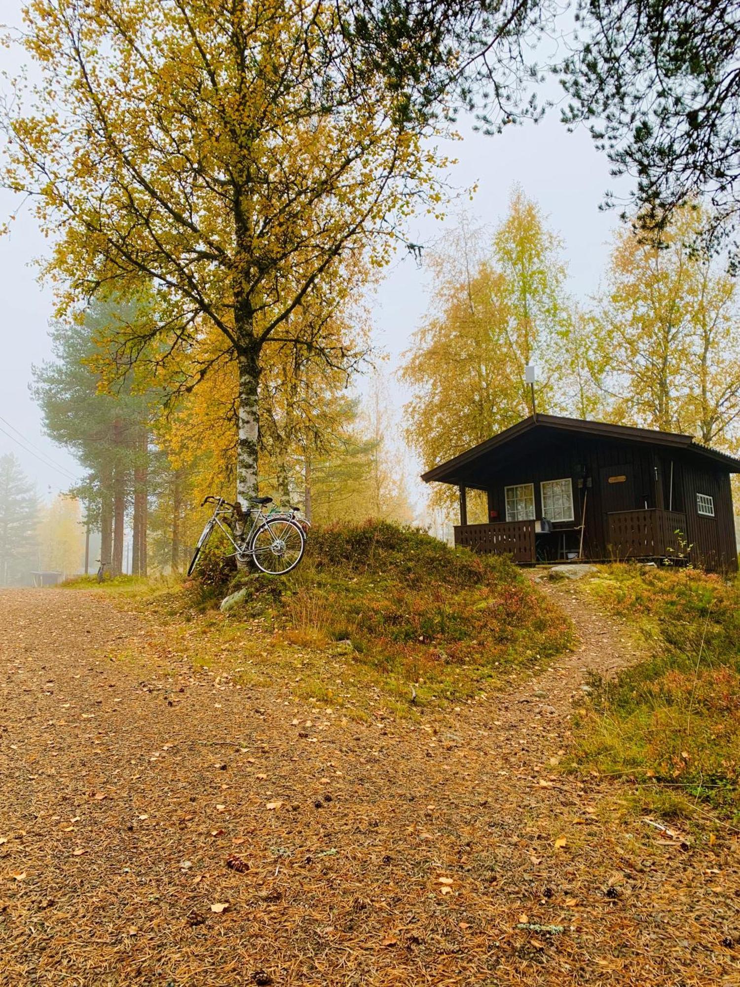 Saeterasen Hytter & Camping Trysil Innbygda Exterior foto