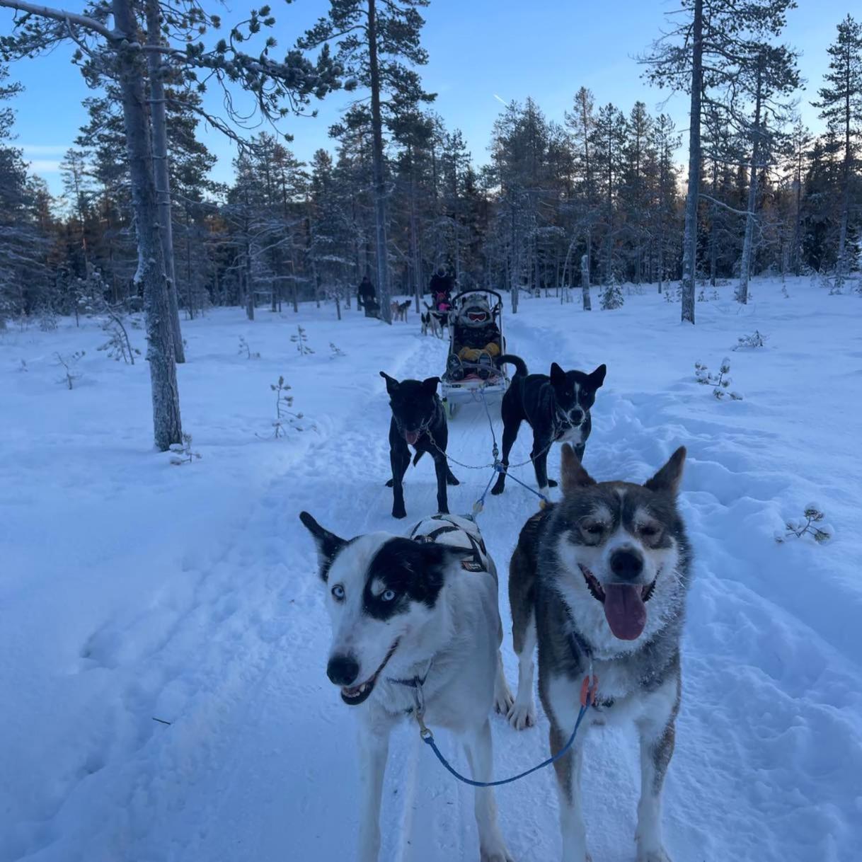 Saeterasen Hytter & Camping Trysil Innbygda Exterior foto