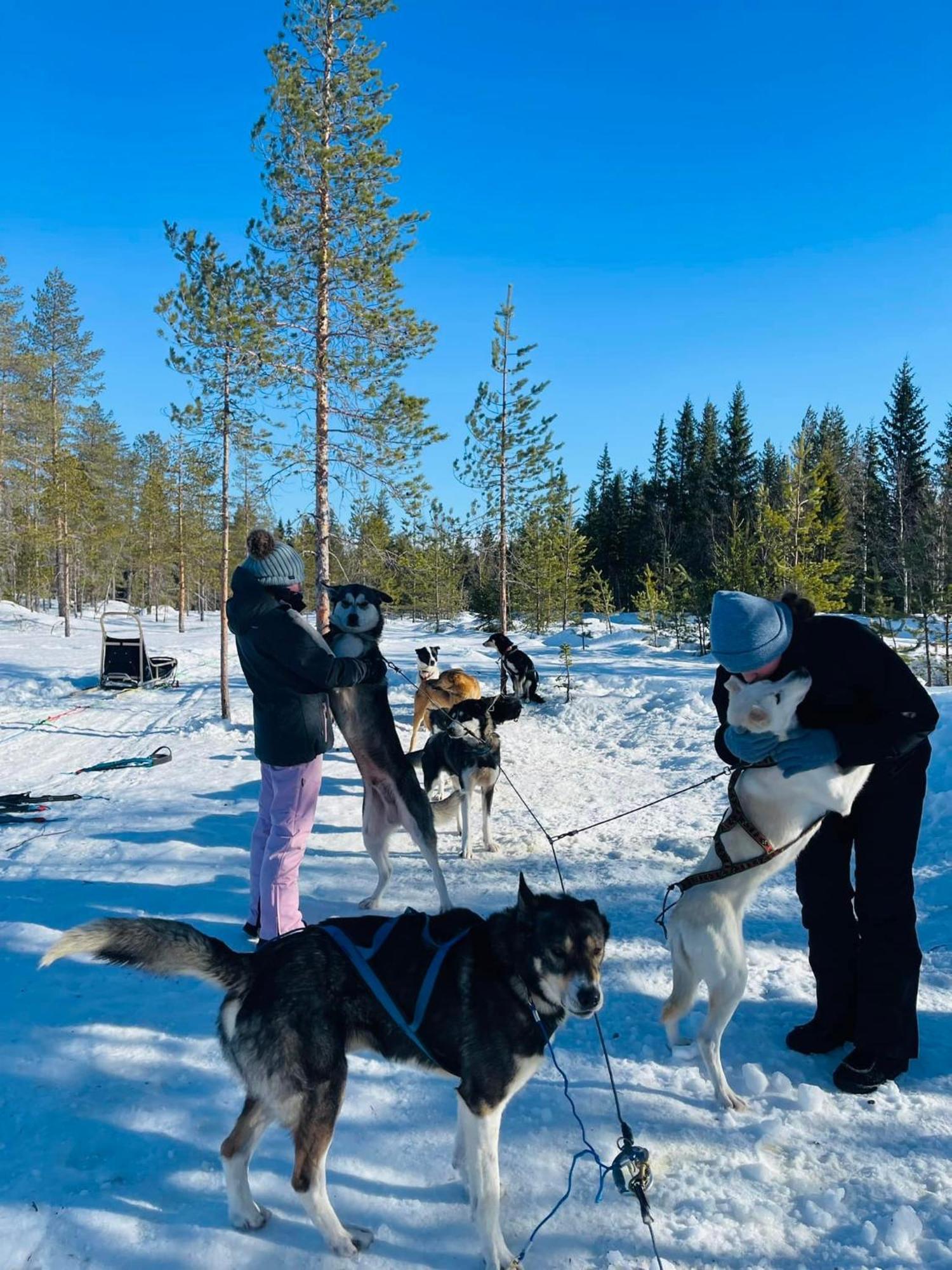 Saeterasen Hytter & Camping Trysil Exterior foto