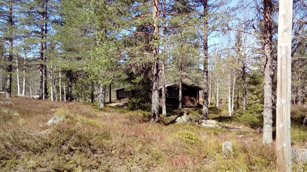 Saeterasen Hytter & Camping Trysil Innbygda Exterior foto