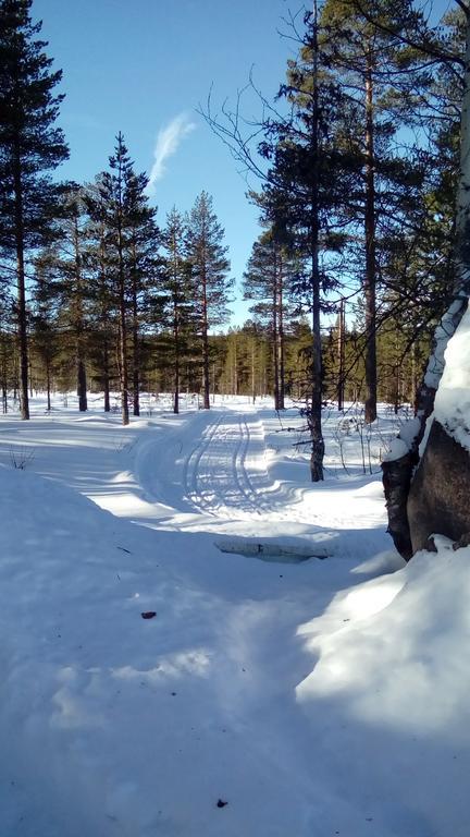 Saeterasen Hytter & Camping Trysil Exterior foto
