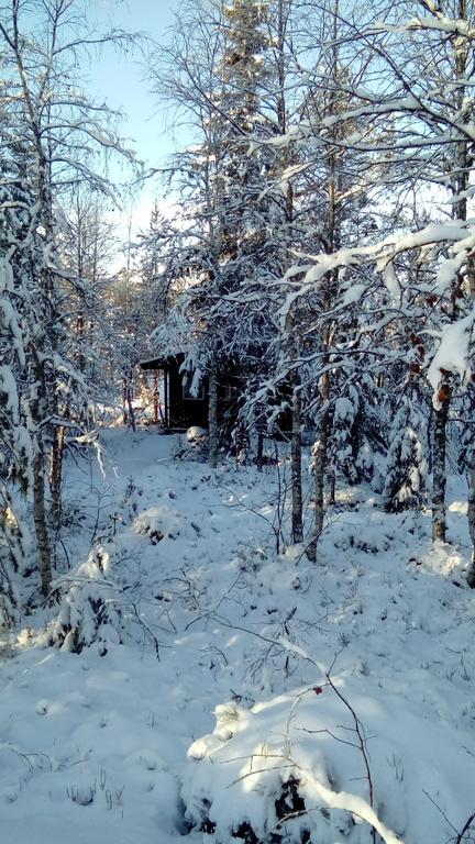 Saeterasen Hytter & Camping Trysil Innbygda Exterior foto